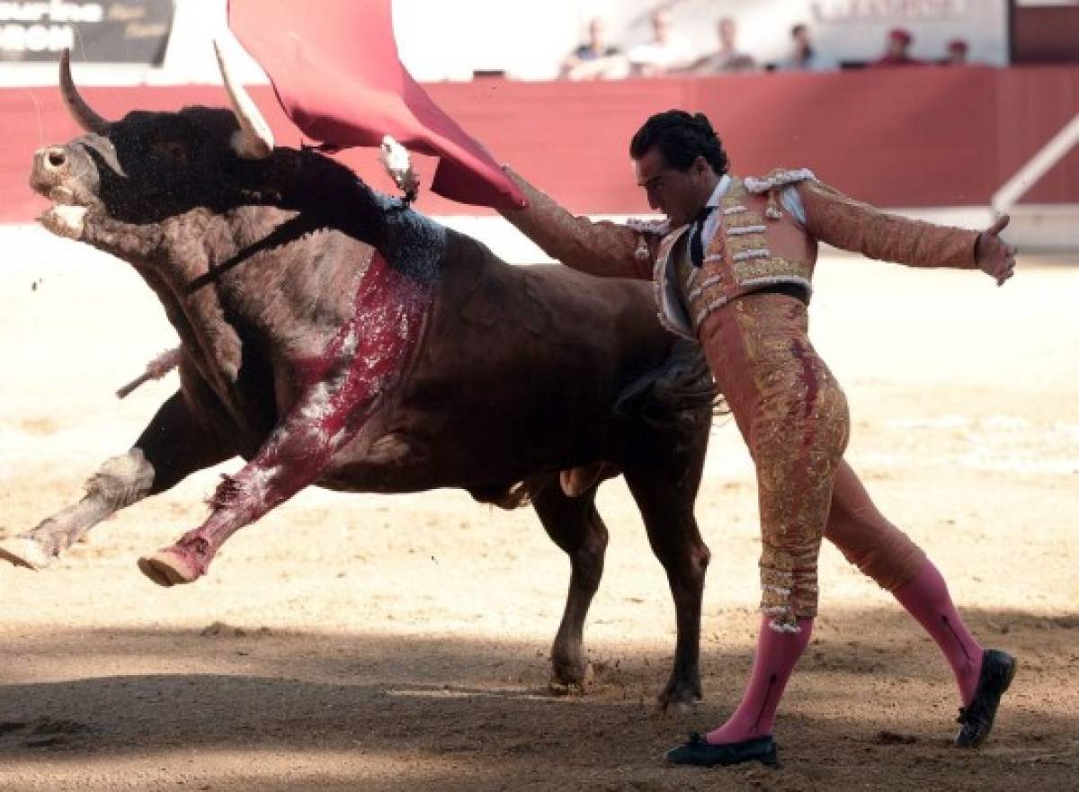 Las últimas palabras del torero Iván Fandiño antes de morir