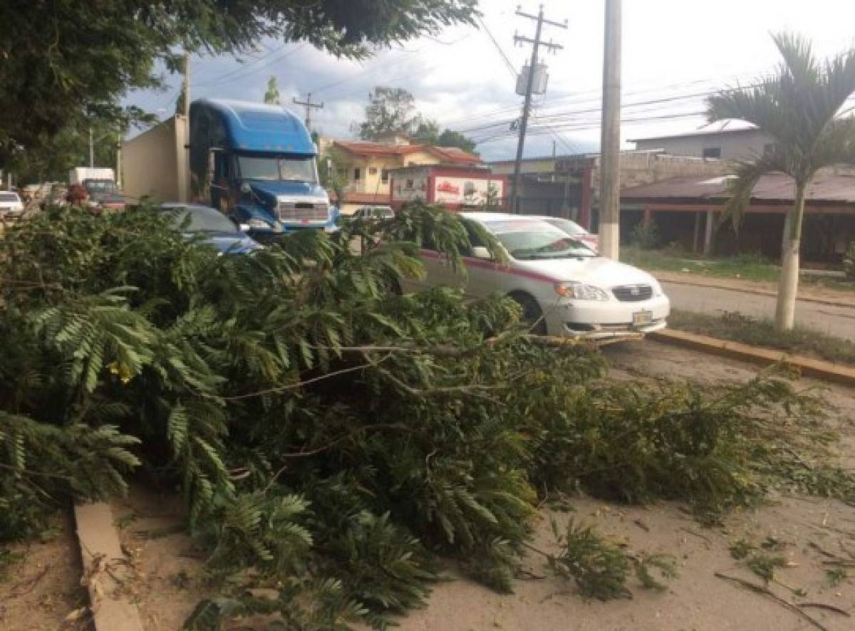 Ingreso de onda tropical se hace sentir en Honduras con lluvias y vientos