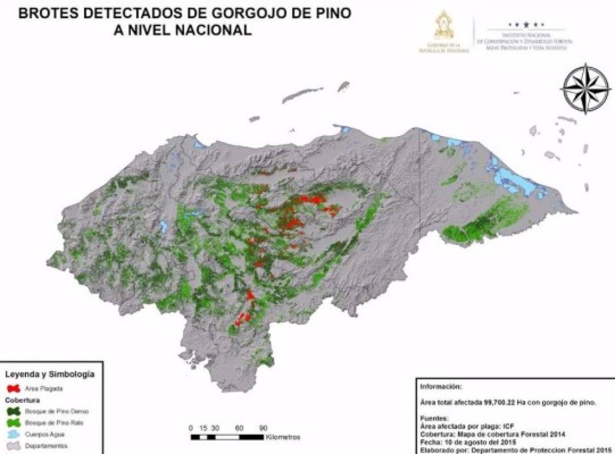 Mapa de brotes de la plaga de pino detectada a nivel nacional