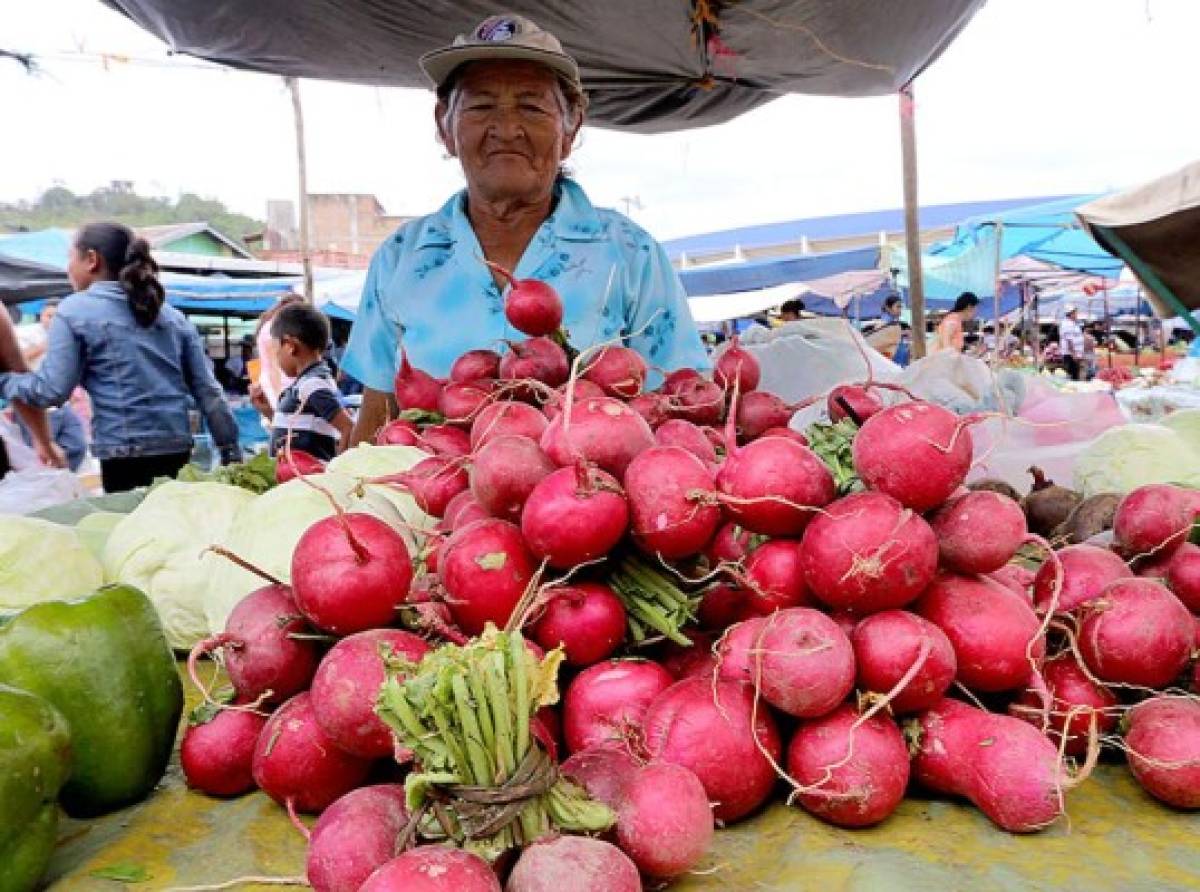 Un recorrido por la Feria del Agricultor y el Artesano