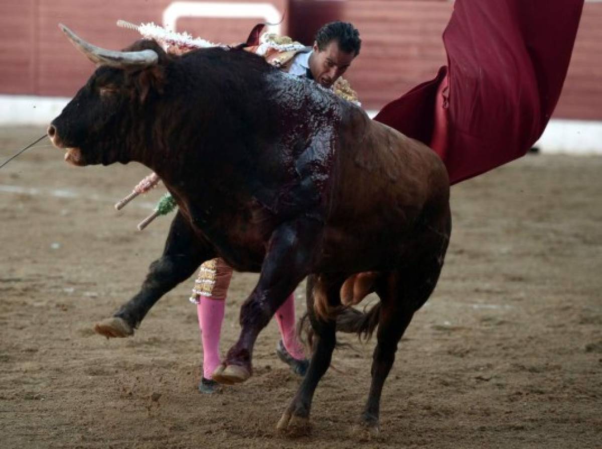 Las últimas palabras del torero Iván Fandiño antes de morir