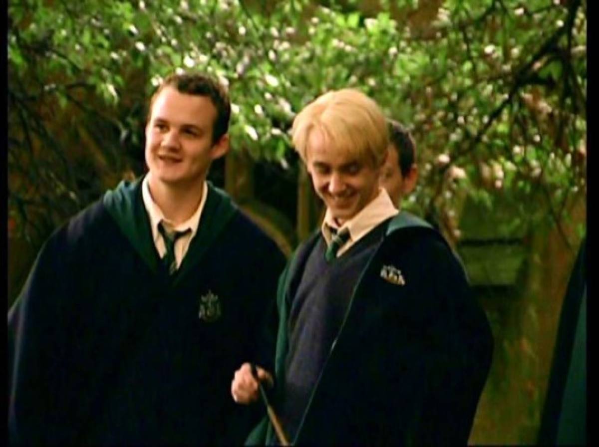 ¿Que hacen de su vida Gregory Goyle y Draco Malfoy de Harry Potter?