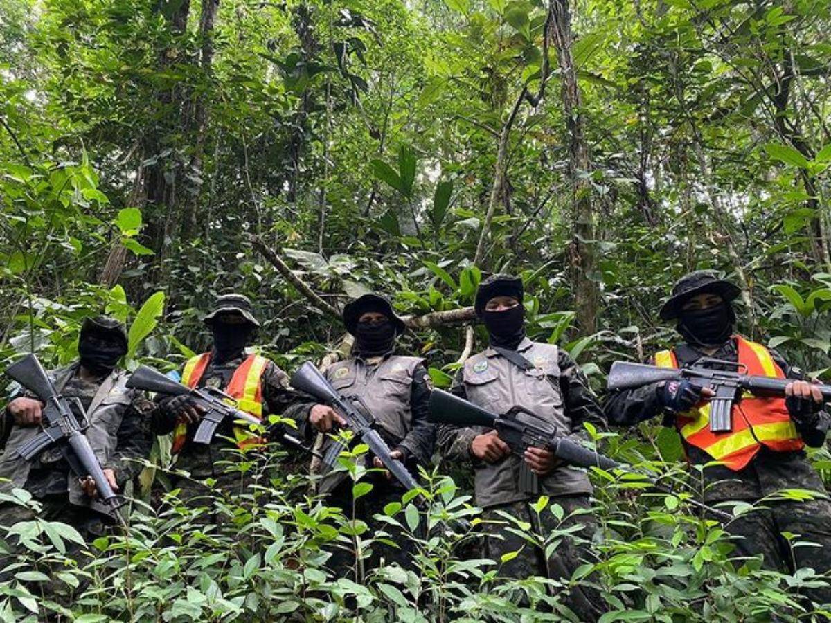 $!Honduras usa la inteligencia artificial para rastrear el estado del bosque, pero todavía no tiene los avances para utilizarla en la detección de plantaciones de droga.