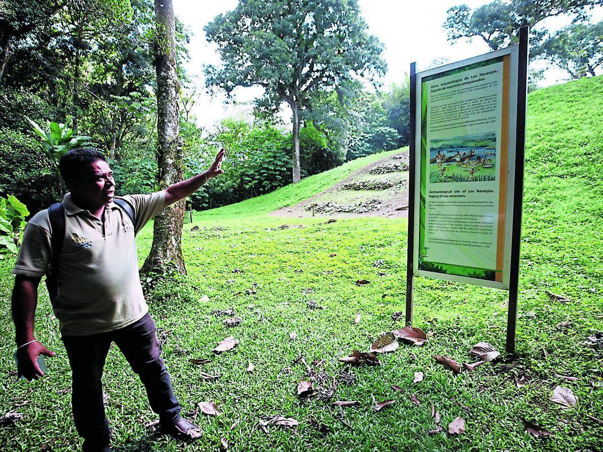 $!Alexis Guzmán, representante del Parque Ecoarqueológico Los Naranjos, acompañó a la Unidad Investigativa de EL HERALDO Plus en el recorrido por la reserva.