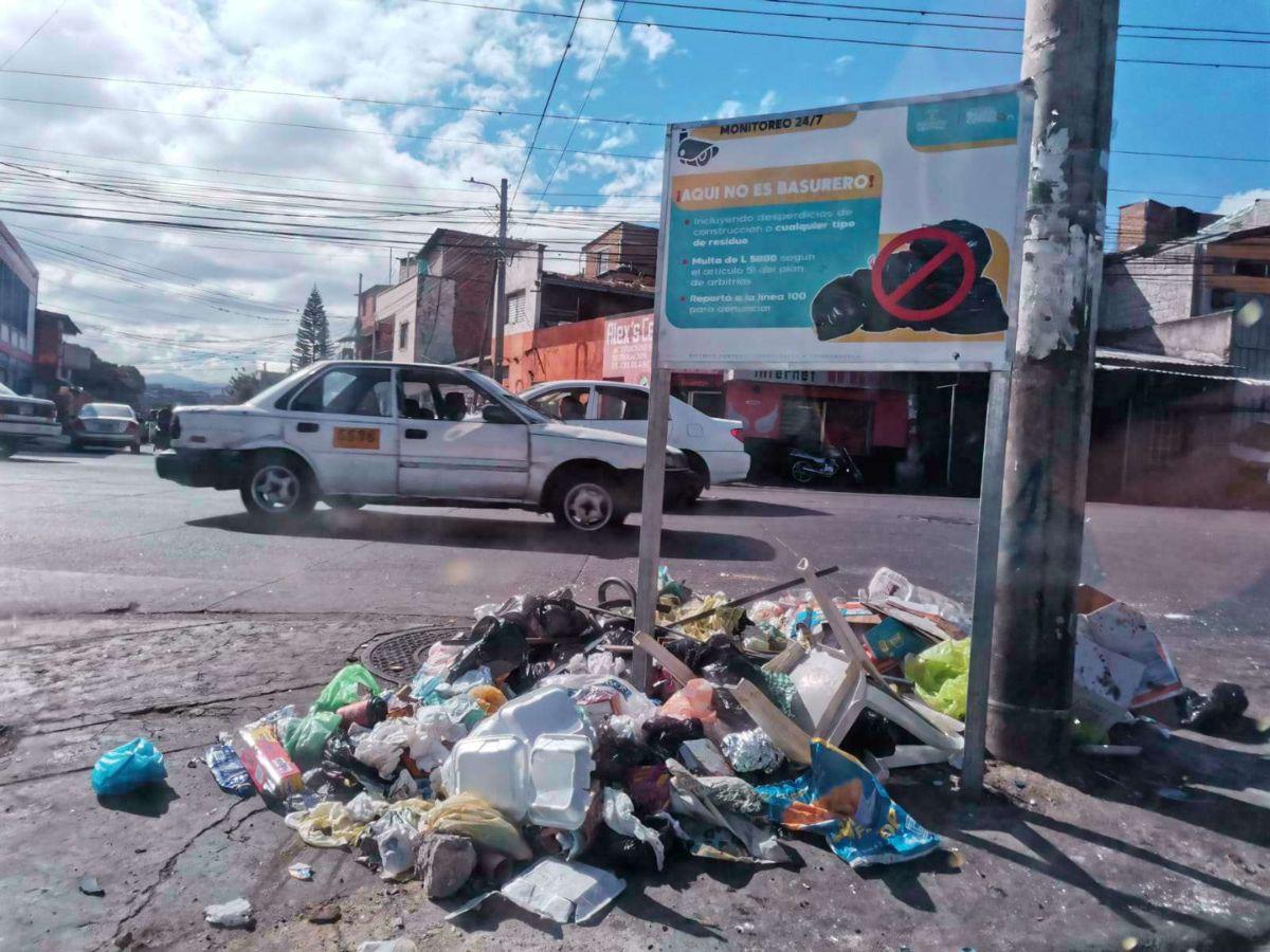 Entre las empresas Amahsa, Cosemsa y la Alcaldía se dispone de 113 vehículos de varios tipos para realizar las actividades de limpieza y recolección de basura en zonas autorizadas y tiraderos ilegales.