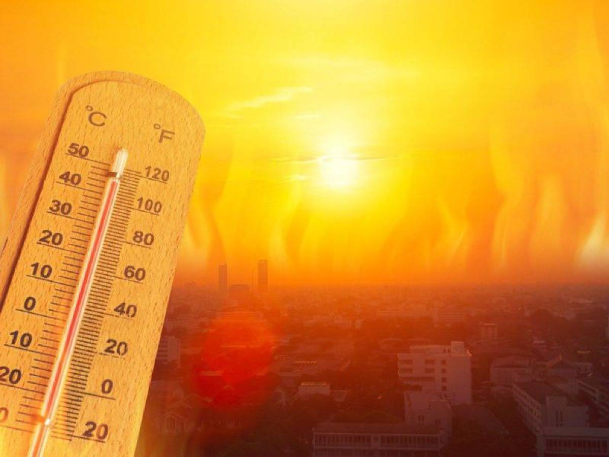 Francia registró hasta 35 mil muertos vinculados con calor del verano desde 2014