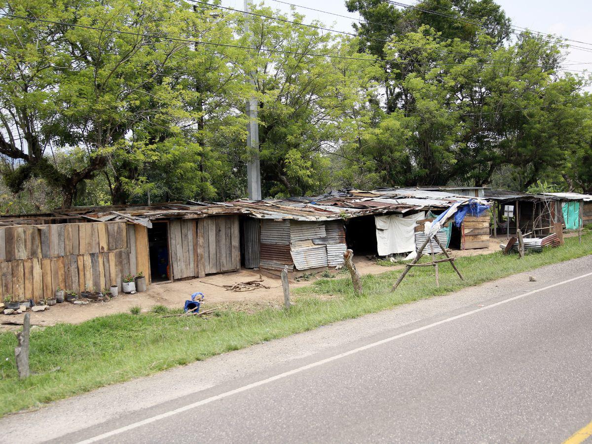 $!En los alrededores del Lago de Yojoa proliferan las invasiones de personas que se están asentando en el área protegida.