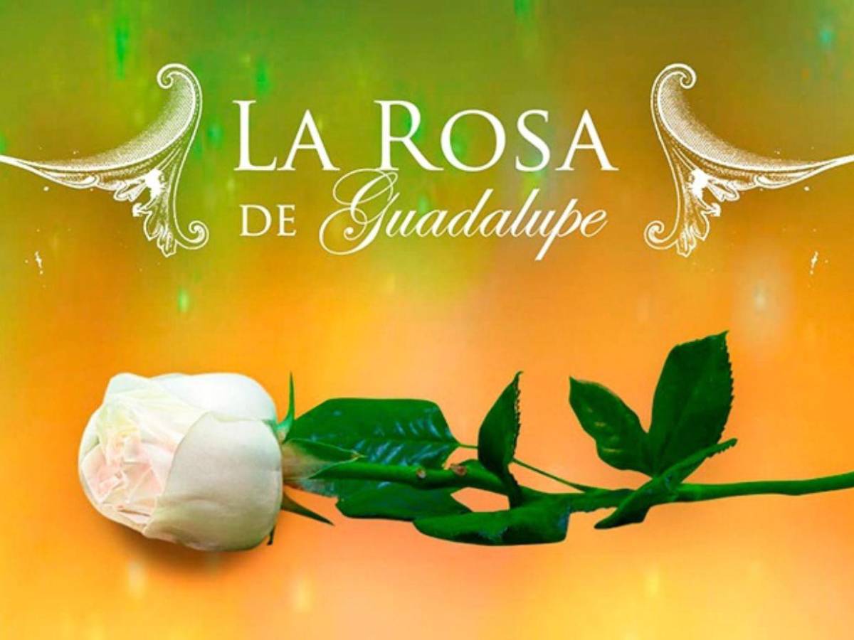 ¿La Rosa de Guadalupe producirá un episodio basado en Marilyn Cote? Esto se sabe