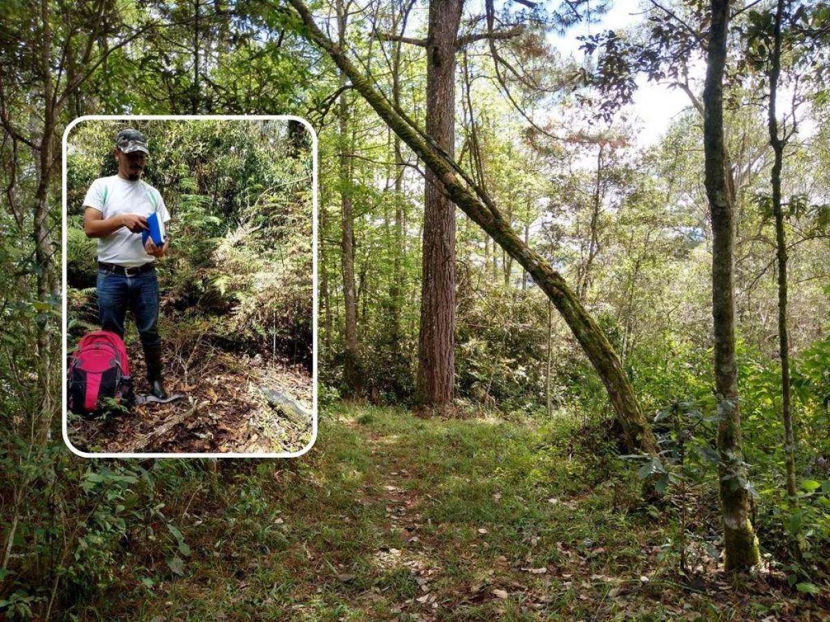 Sin rastro del ingeniero que desapareció en la Cordillera de Montecillos en Comayagua