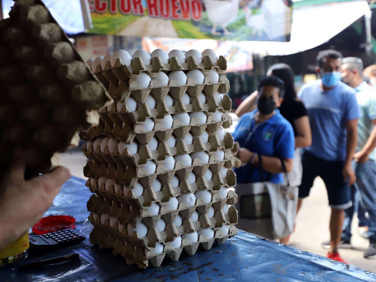 Huevos bajan de precios en SPS; en mercados de la capital siguen caros