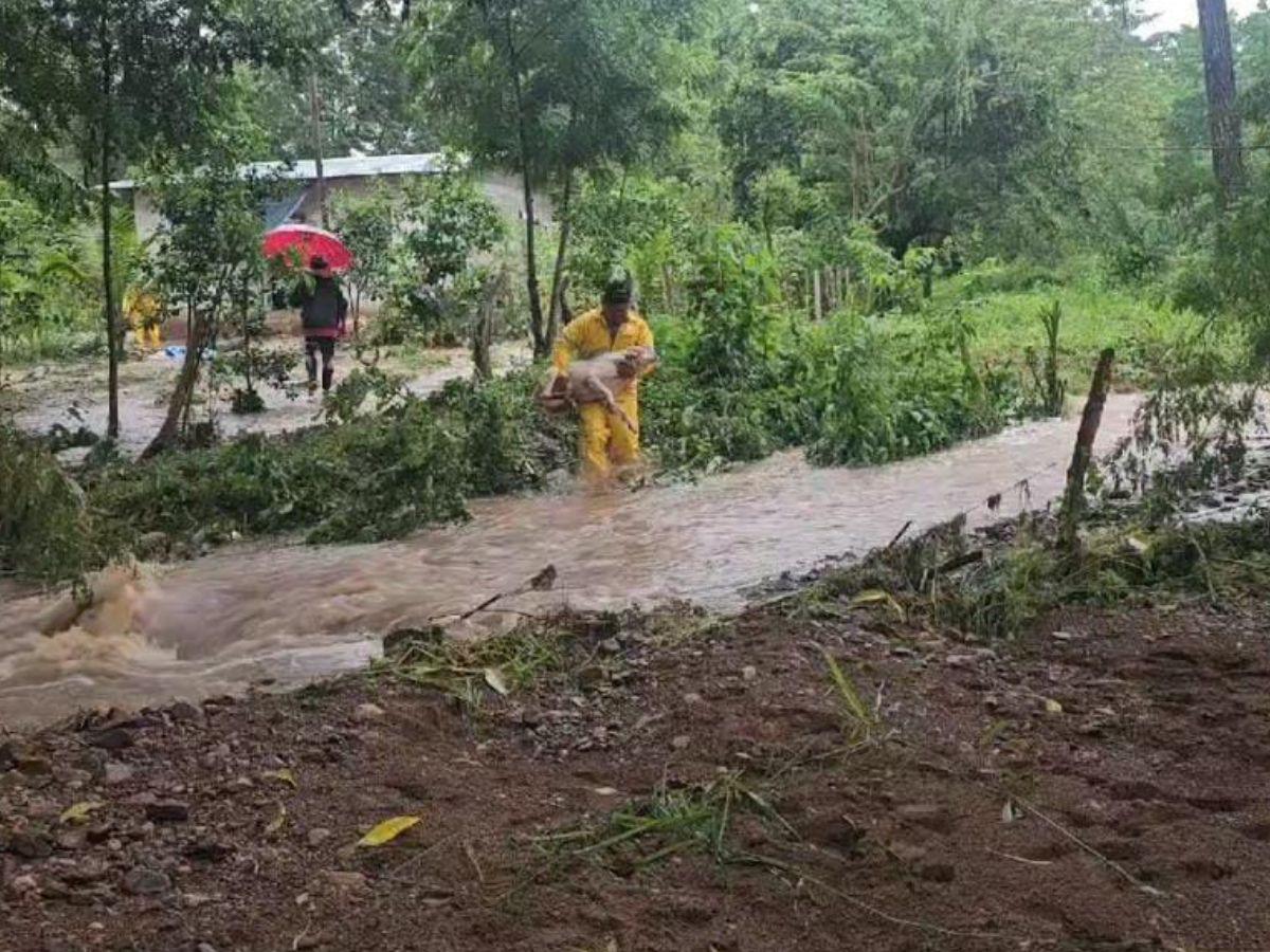 Los daños que ha dejado la tormenta Sara en la zona norte de Honduras