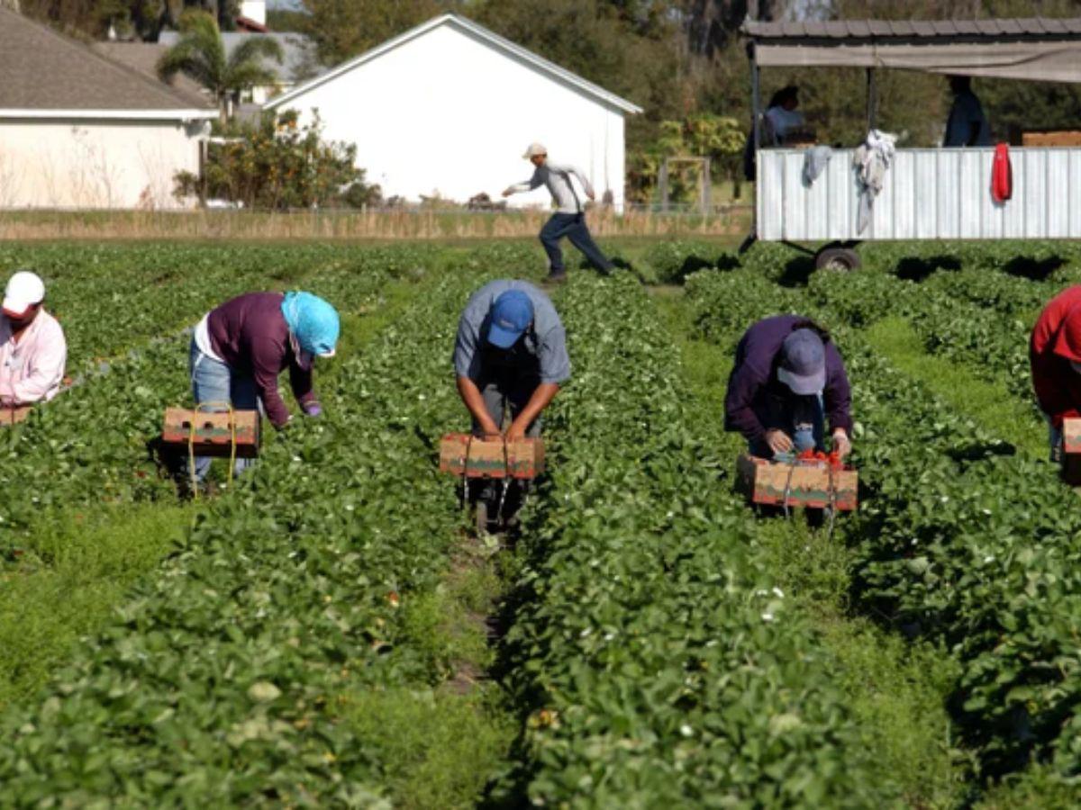 Cambios en permisos de trabajo para migrantes en EUA en 2025: todo lo que debes saber