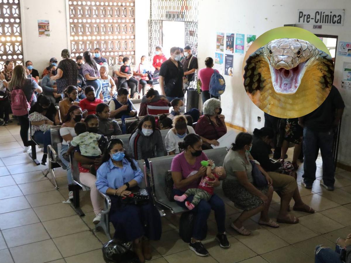 Dengue, mordeduras de serpientes, neumonía y varicela golpean el DC