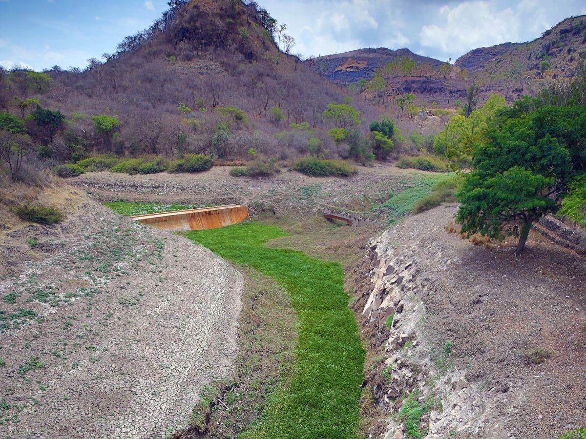 La planta está diseñada para flotar y absorber una gran cantidad de agua, su presencia en las represas, además de drenar el líquido, puede obstruir tuberías y turbinas.