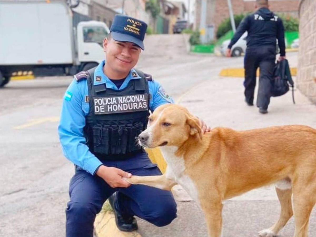 “Un error de un compañero no nos define”: Sánchez sobre video de policía que disparó a Toby