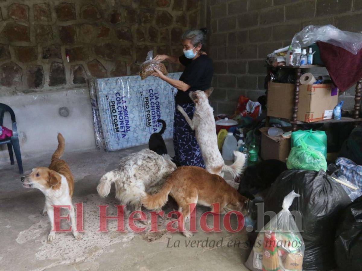 María López anhela tener su propia casa para mudarse junto a sus siete perros.