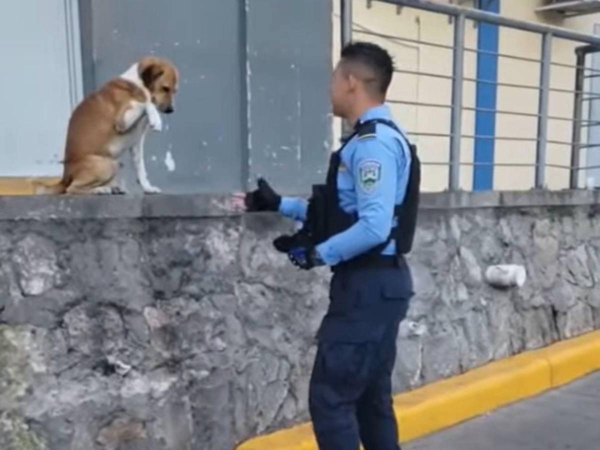 “Un error de un compañero no nos define”: Sánchez sobre video de policía que disparó a Toby