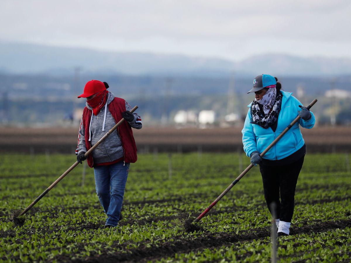 Cambios en permisos de trabajo para migrantes en EUA en 2025: todo lo que debes saber