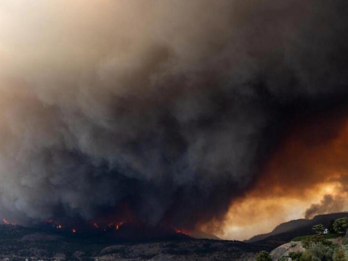 Indignación con Meta en Canadá por bloquear noticias en plena crisis de los incendios