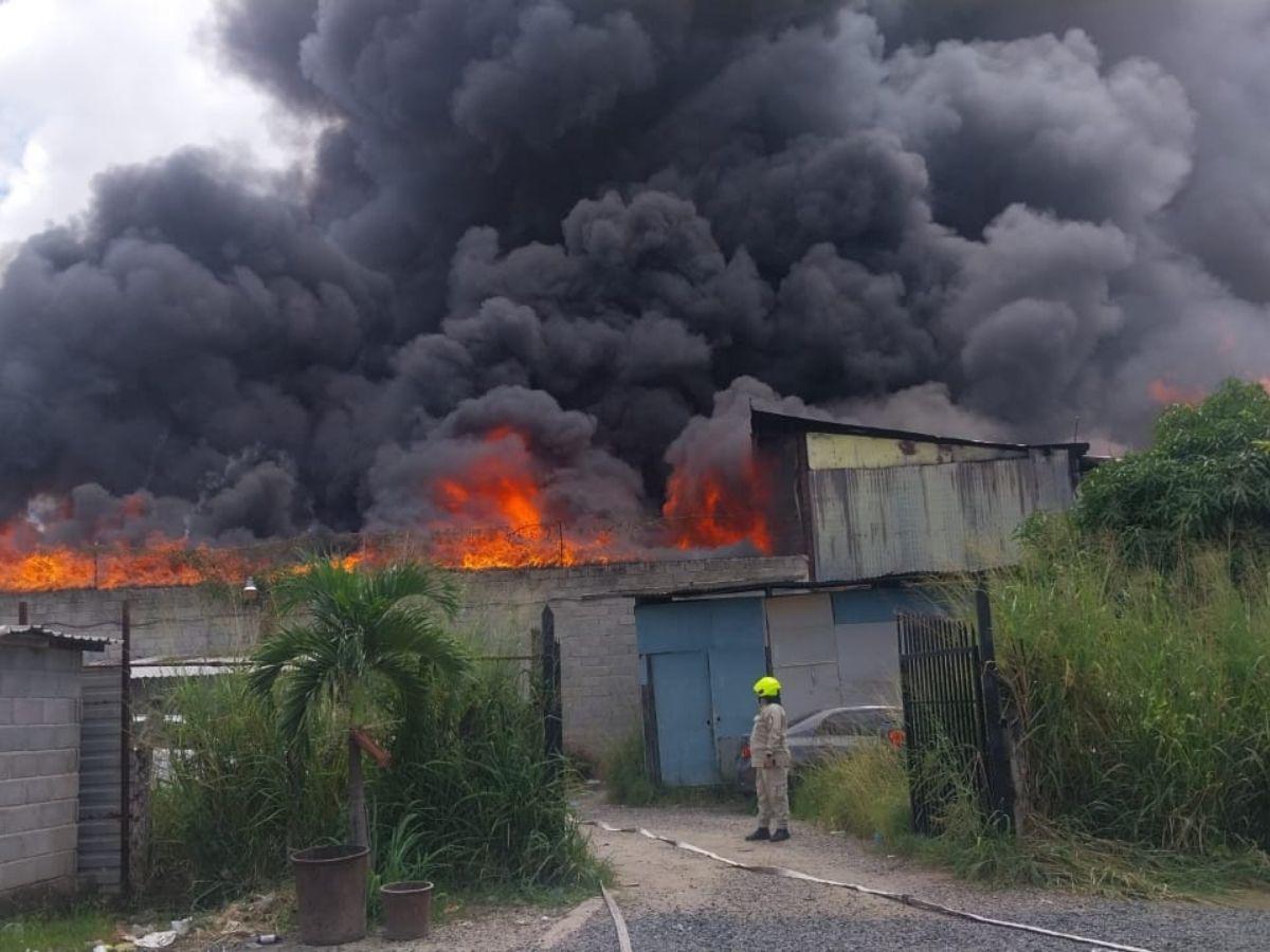 Las imágenes del pavoroso incendio en la colonia El Prado