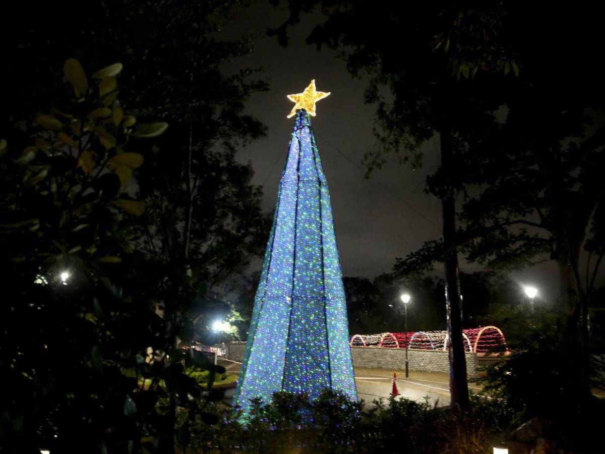 Horarios y lugares que puedes visitar con tu familia en esta Navidad y Año Nuevo