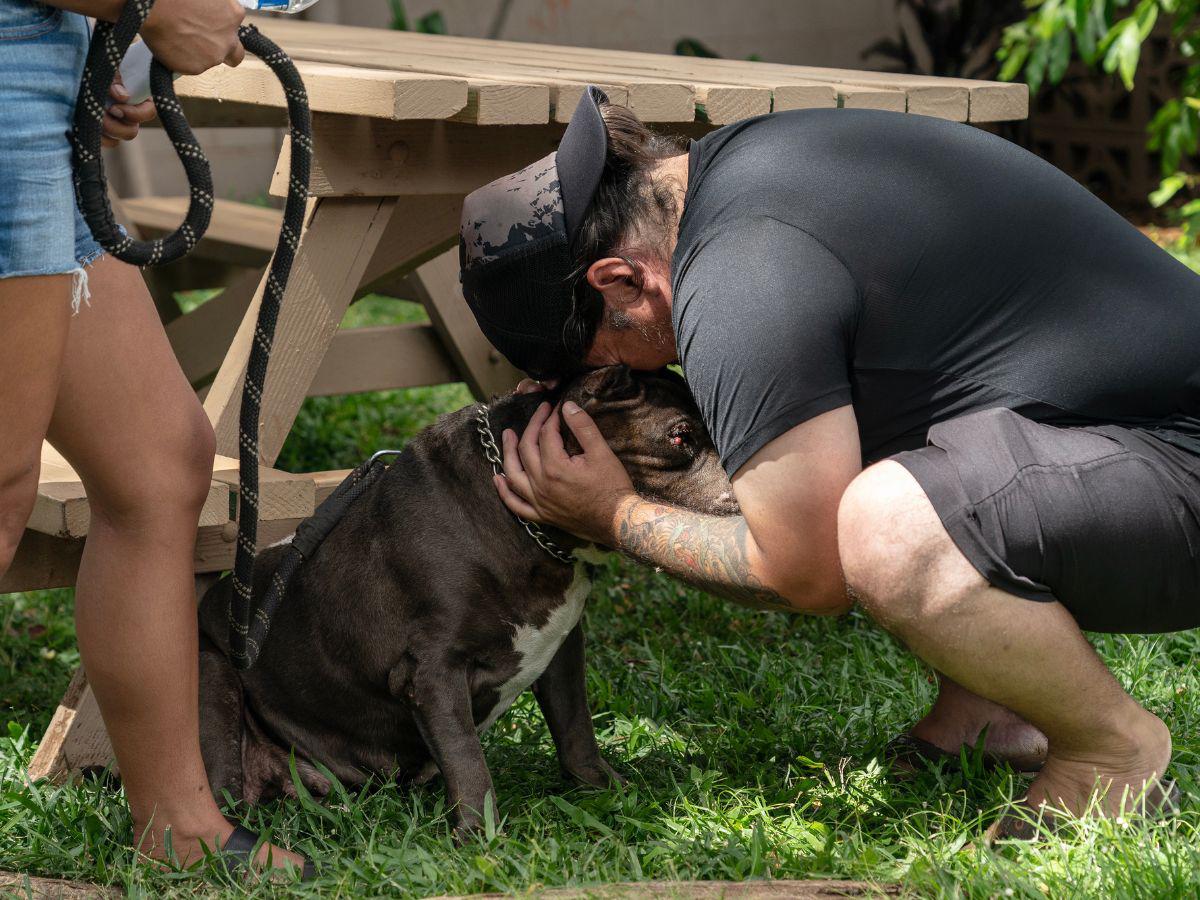 ‘Ocurrieron milagros esa noche’: Una caótica lucha para salvar a las mascotas del incendio en Hawái