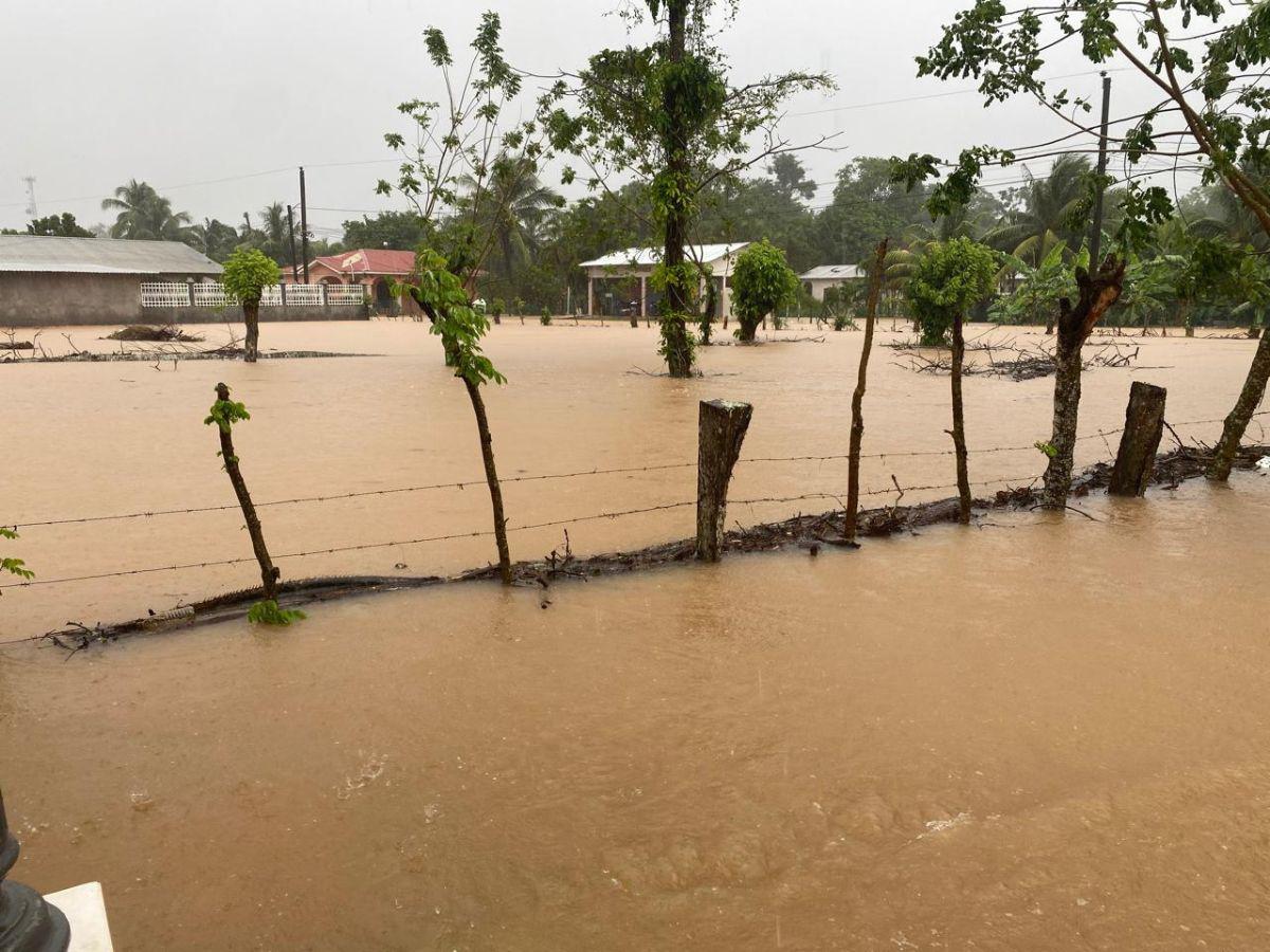 Los daños que ha dejado la tormenta Sara en la zona norte de Honduras