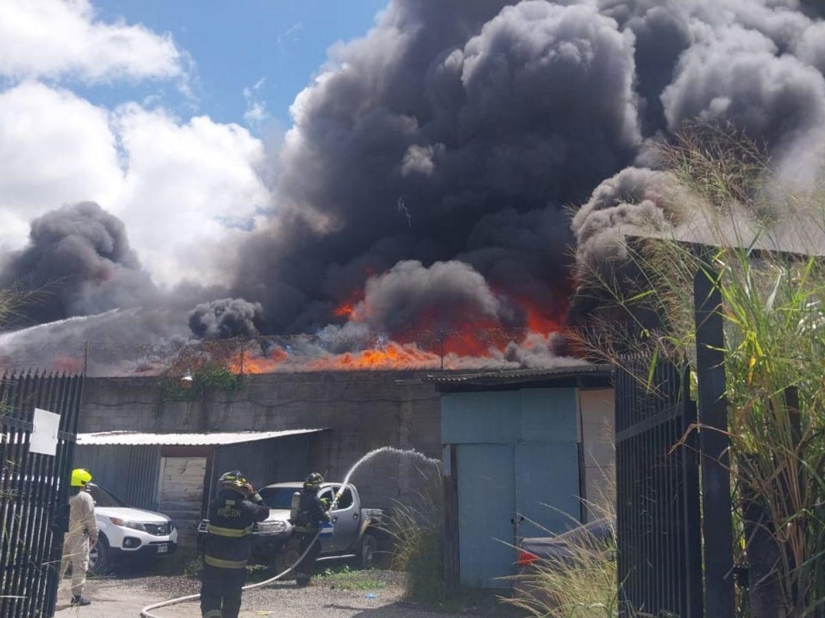 Las imágenes del pavoroso incendio en la colonia El Prado