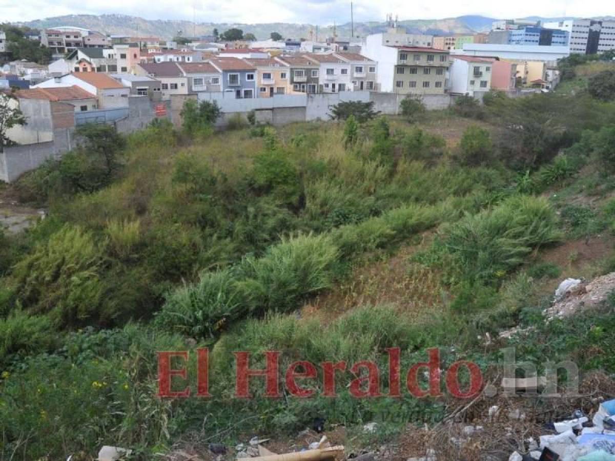 El Jardín Botánico todavía sigue sin ejecutarse.