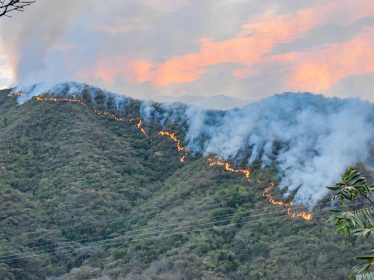 Las llamas arrasan más de 5,000 hectáreas de bosques en Colombia