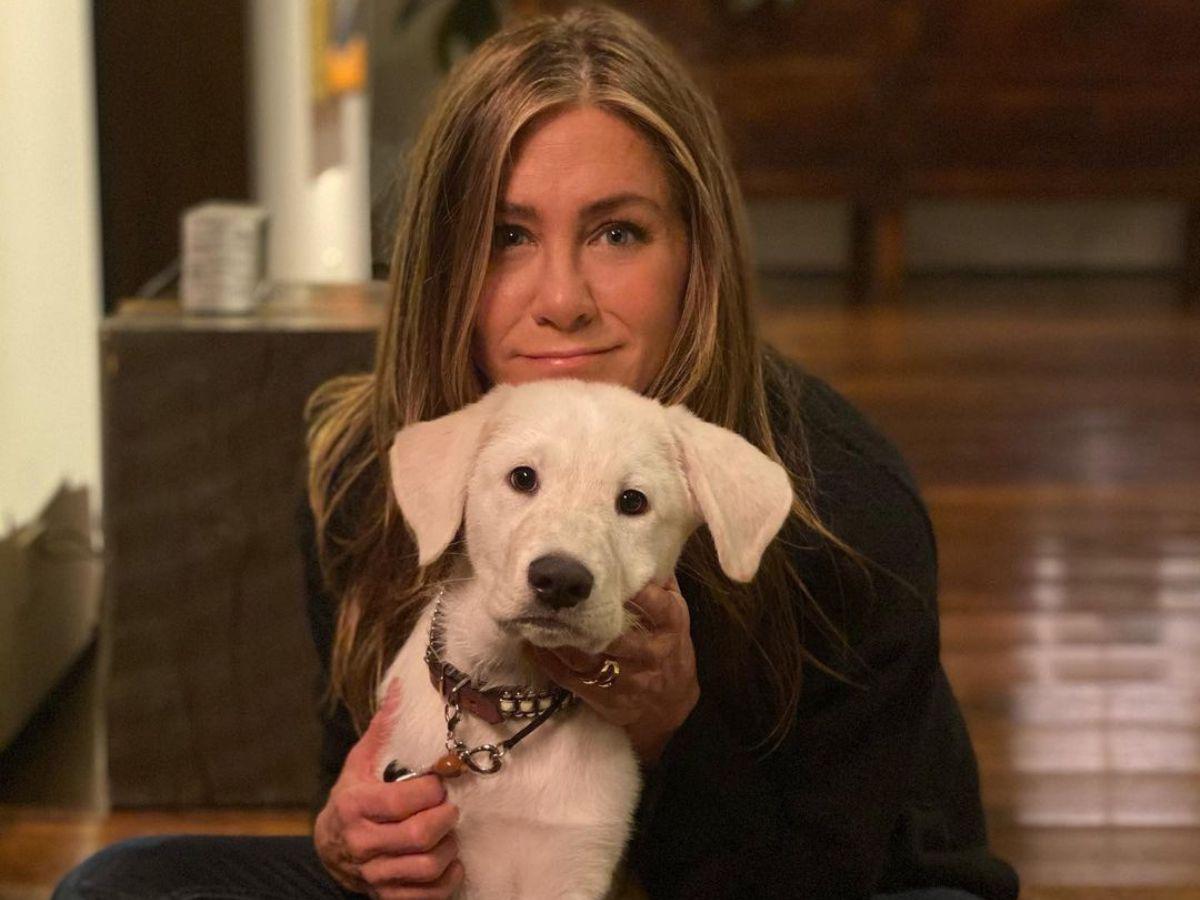 Jennifer Aniston revela cómo el divorcio de sus padres afectó su vida amorosa