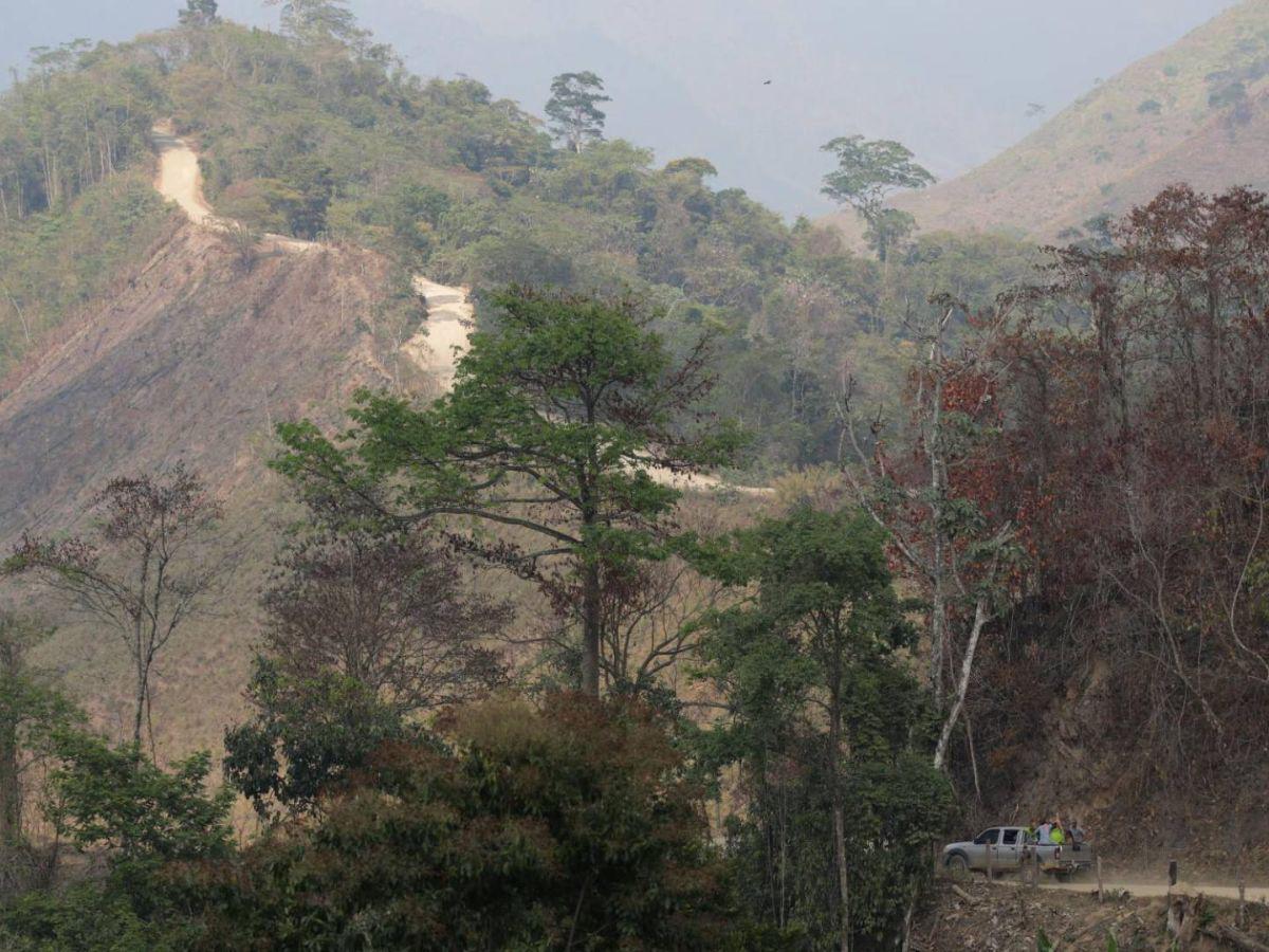 Ocupación de tierras, narcocarreteras y deforestación: conflicto en el río Plátano