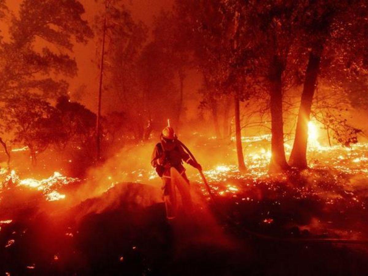 ¿Quién es Nikki Glaser, la comediante señalada de causar incendios en California por chiste en premios?