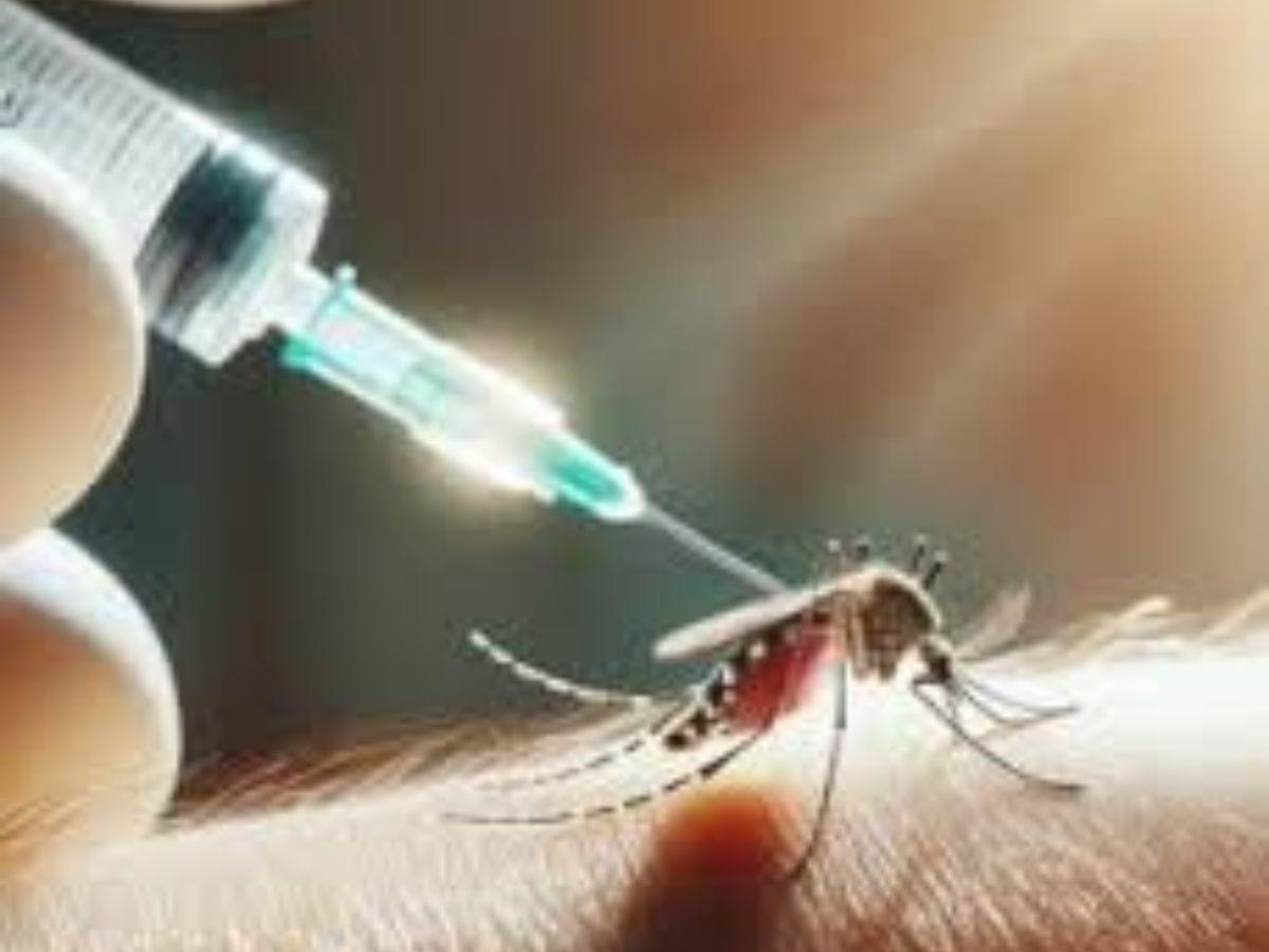 Vacuna Tak-003 afectará a personas que no hayan padecido de dengue