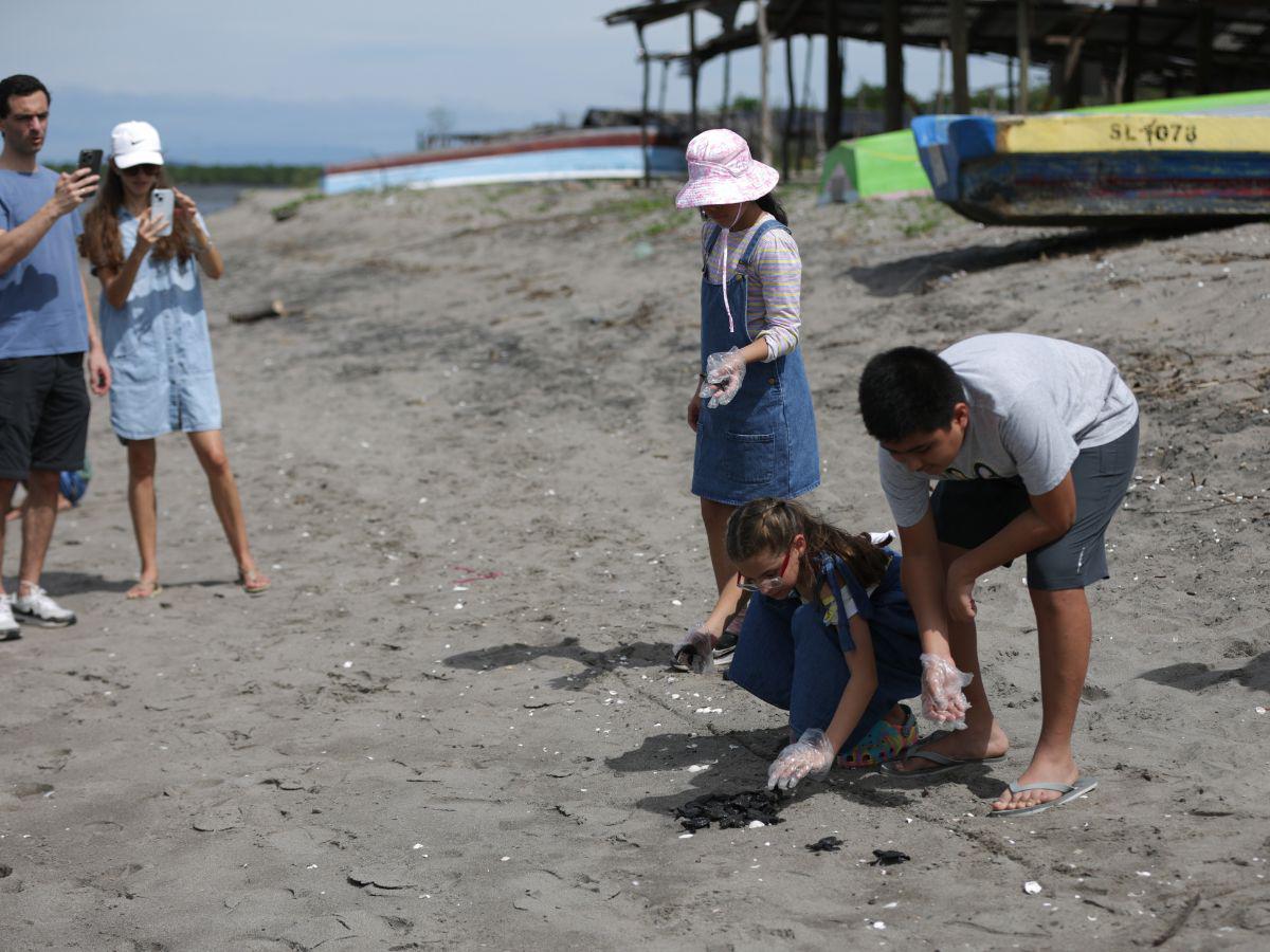 La emocionante liberación de la tortuga golfina en el sur de Honduras