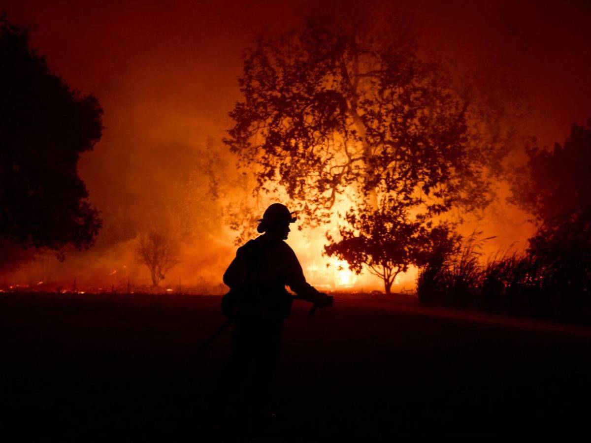 Evacuaciones y cierre de calles: impactantes imágenes del incendio en Malibú