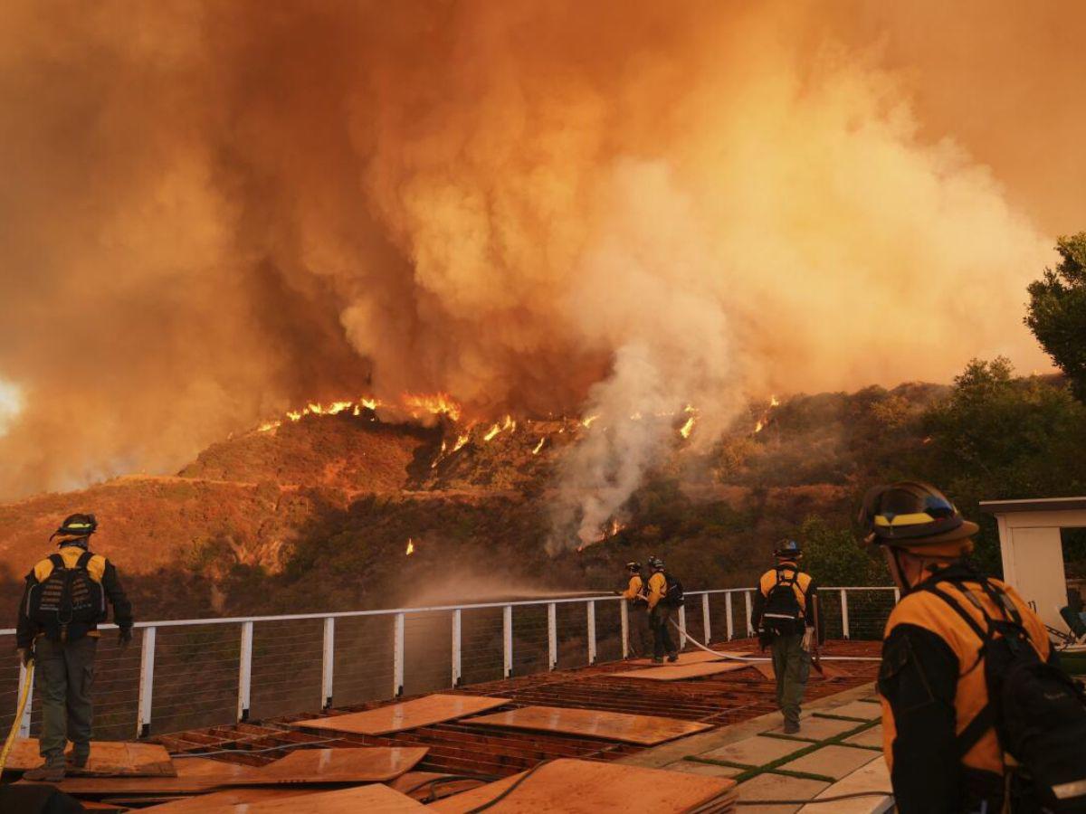 Actriz Dalyce Curry pierde la vida al no recibir alerta de evacuación en los incendios