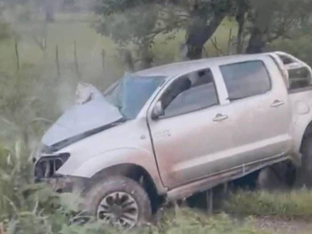 Las impactantes imágenes del accidente en el que abuelo y nieta perdieron la vida