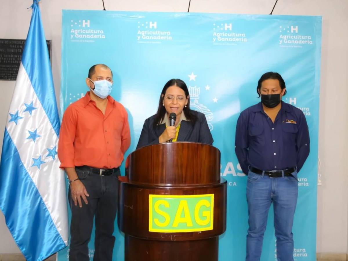 SAG convoca a productores para presentar perfiles de negocio