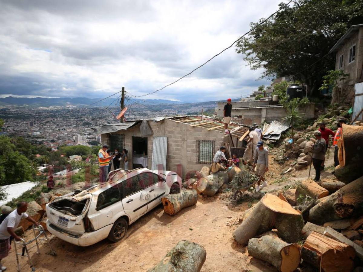 Árbol estuvo a punto de quitarle la vida a una madre y su hija en Brisas del Picacho