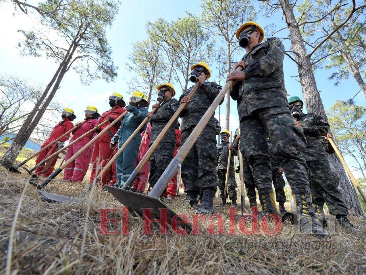 Los elementos de las Fuerzas Armadas poseen trajes especiales y las herramientas para combatir los siniestros.