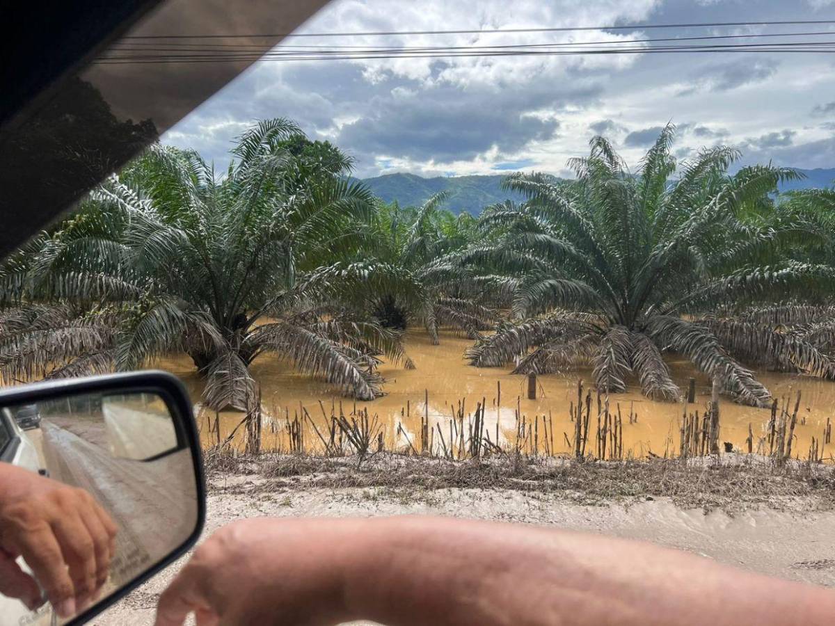 Impactantes imágenes de las inundaciones en Prieta, Colón por la Tormenta Sara