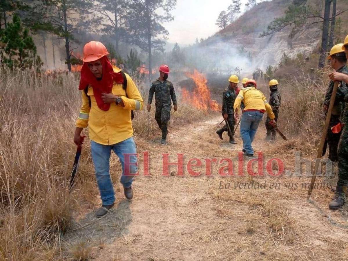 Las rondas cortafuego son acciones preventivas y de combate.