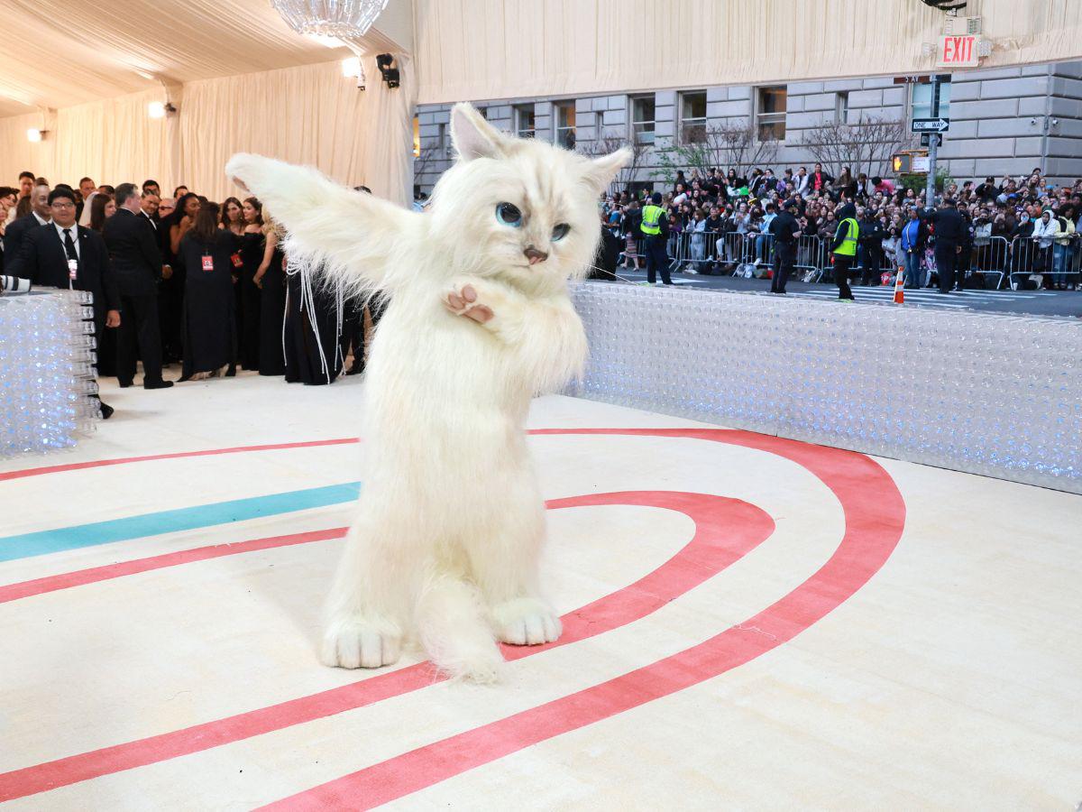 Jared Letto posando con el disfraz de Choupette.