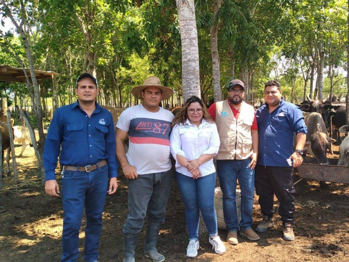 La SAG entrega alimentos para ganado a productores afectados por la severa sequía en Olanchito