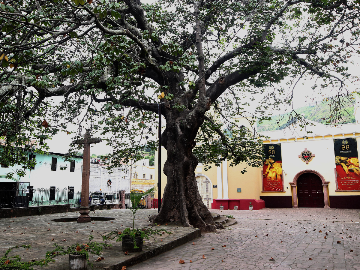 De plazas a parques evolucionaron espacios coloniales de la capital