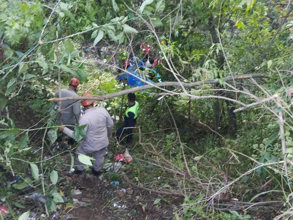 El automotor quedó varios metros abajo de la carretera tras rodar por el abismo.