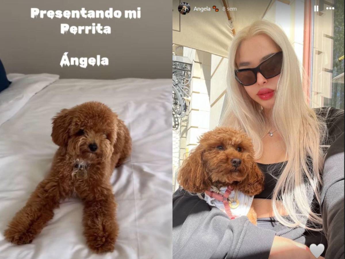 Así es “Ángela”, la mascota de Iveeth, presunta amante de Christian Nodal