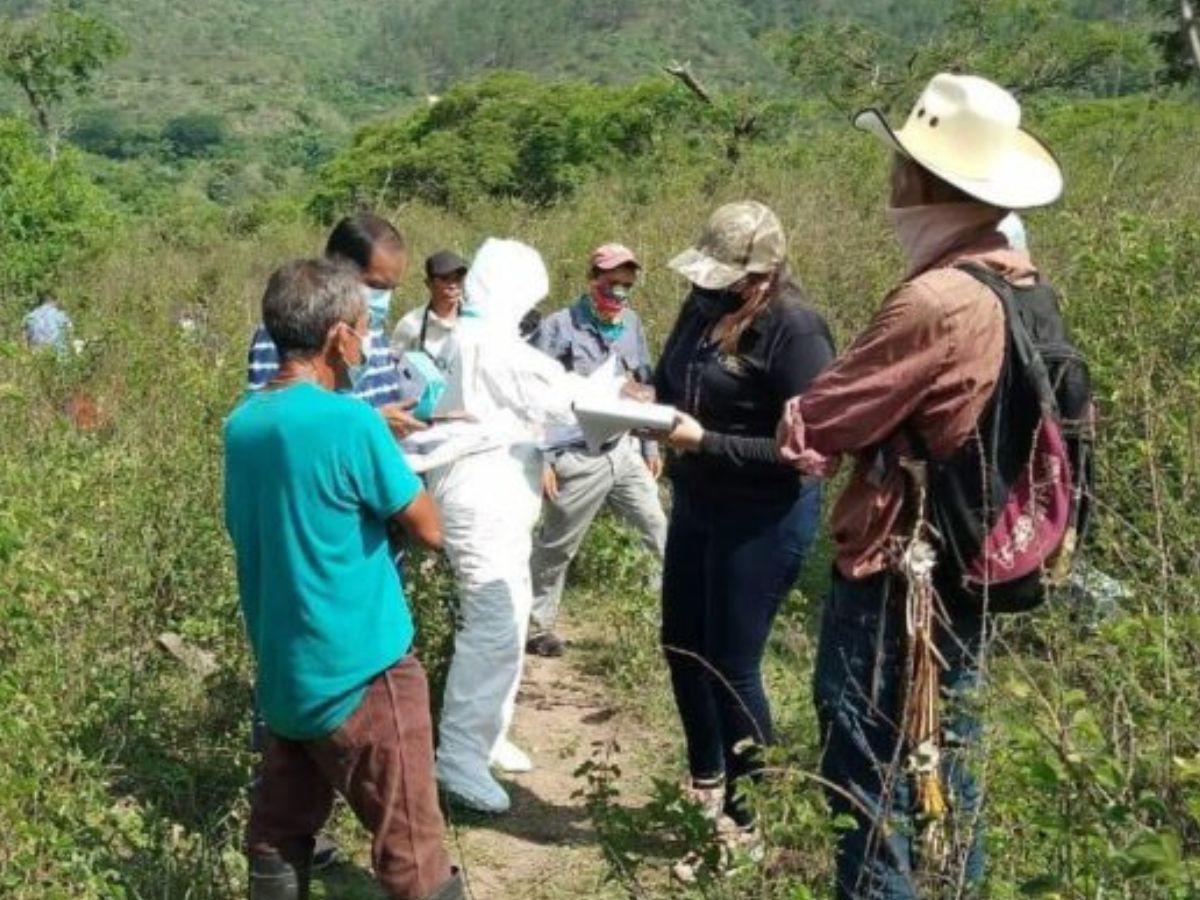 120 levantamientos de cadáveres se han registrado en lo que va de 2023 en El Paraíso