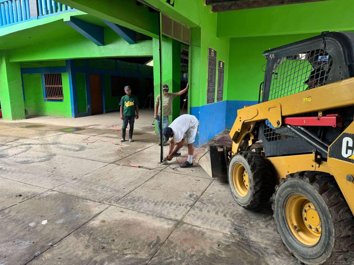 Comienzan los trabajos de cambio de engramillado en el estadio Juan Ramón Brevé